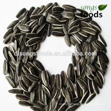 New Crop Export Chinese Sunflower Seeds